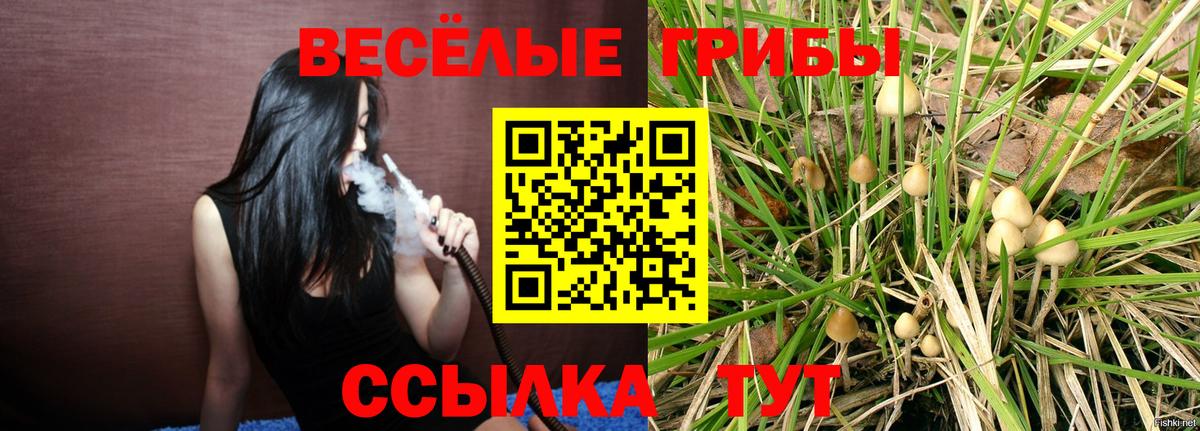 Калининград  Псилоцибиновые грибы прущие грибы  Вход с VPN 